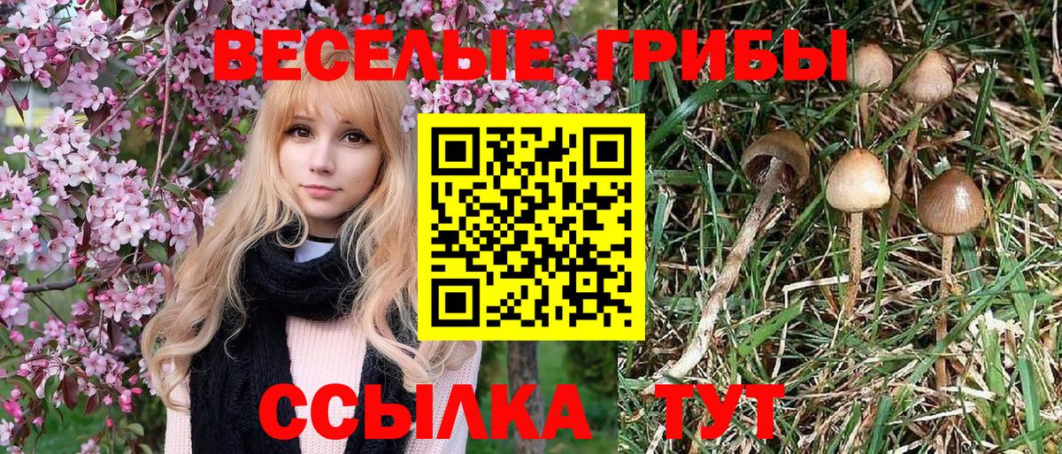 Псилоцибиновые грибы прущие грибы Зерноград