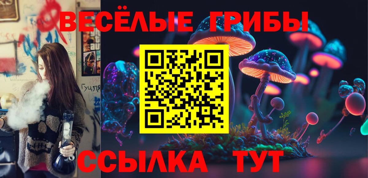 Псилоцибиновые грибы Psilocybe  Вход с VPN  Зерноград 